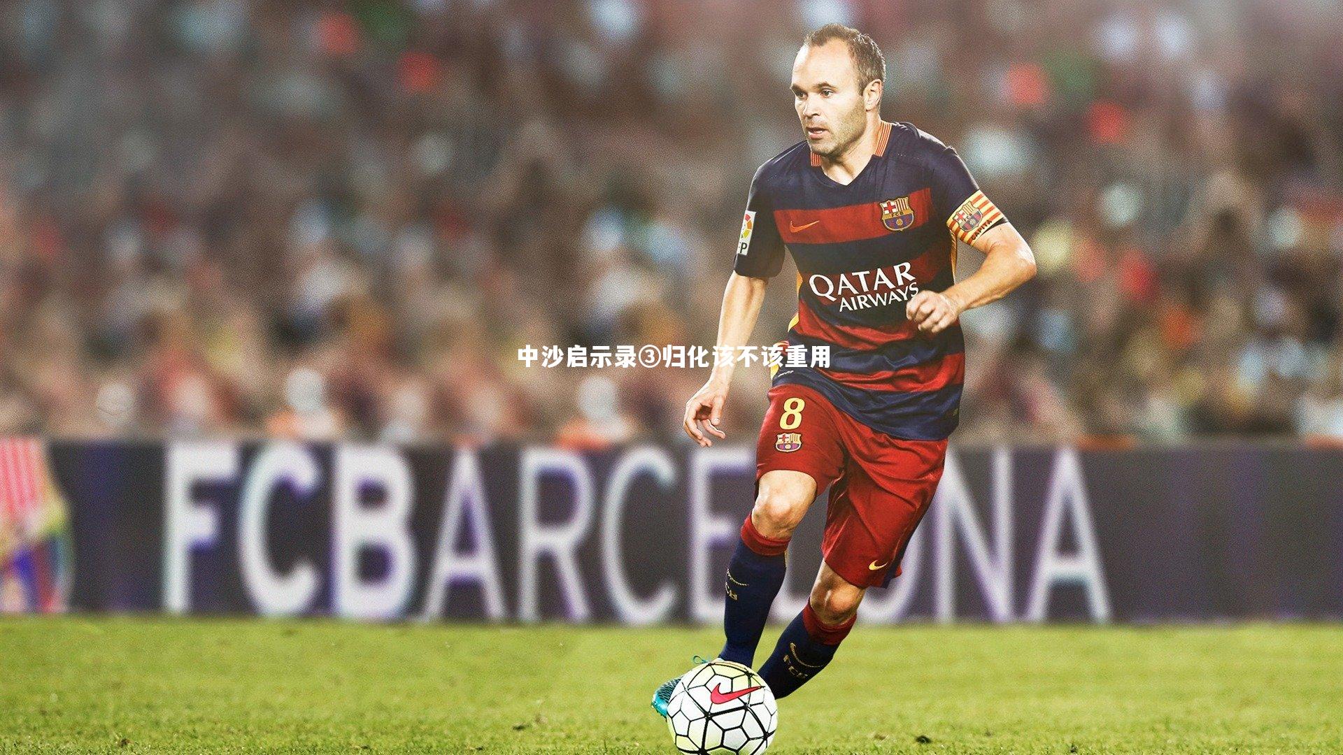 中沙启示录③归化该不该重用